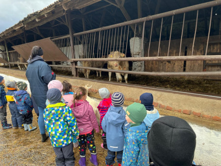 Viděly jsme spoustu zvířat